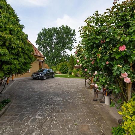Bonifert Vendégház Dunabogdány Exterior foto