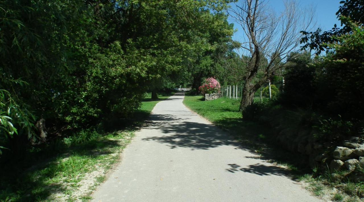 Bonifert Vendégház Dunabogdány Exterior foto