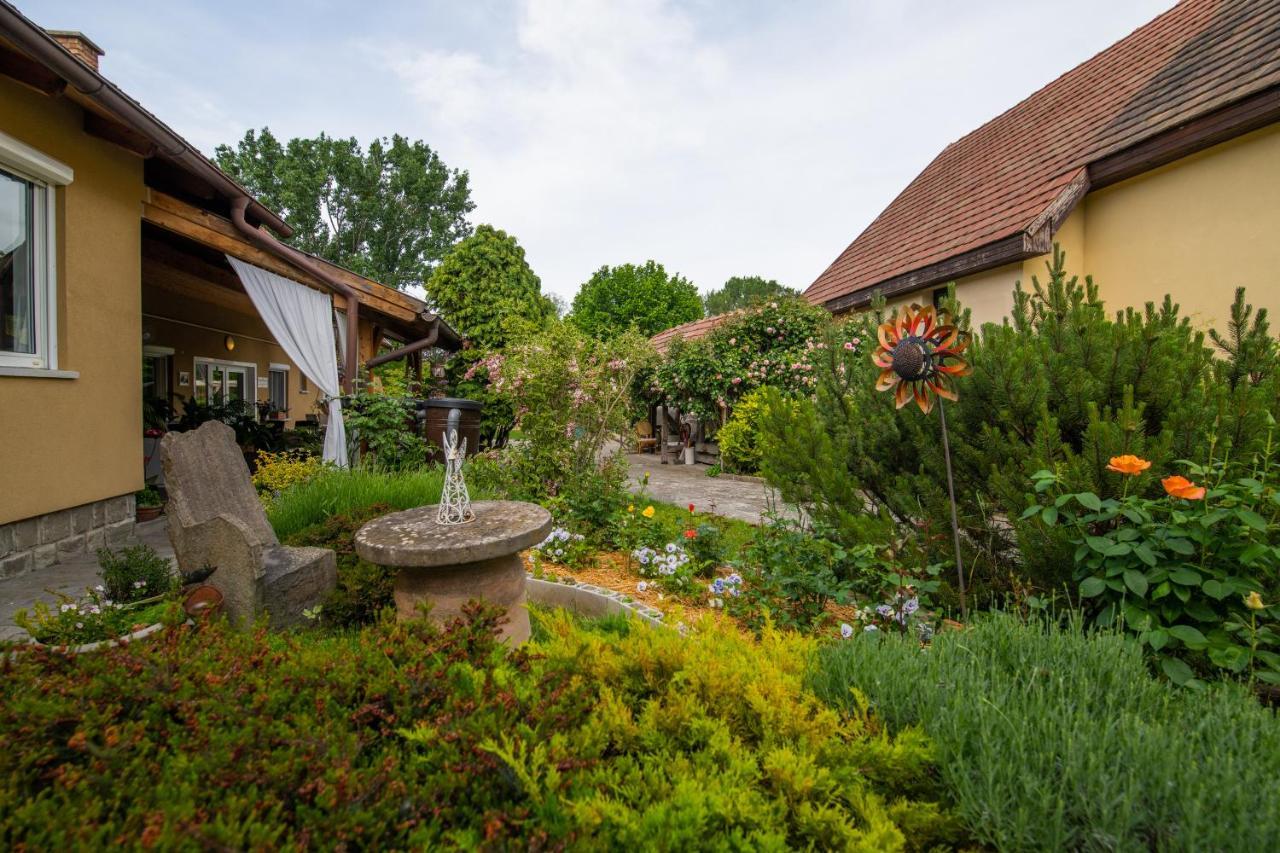 Bonifert Vendégház Dunabogdány Exterior foto
