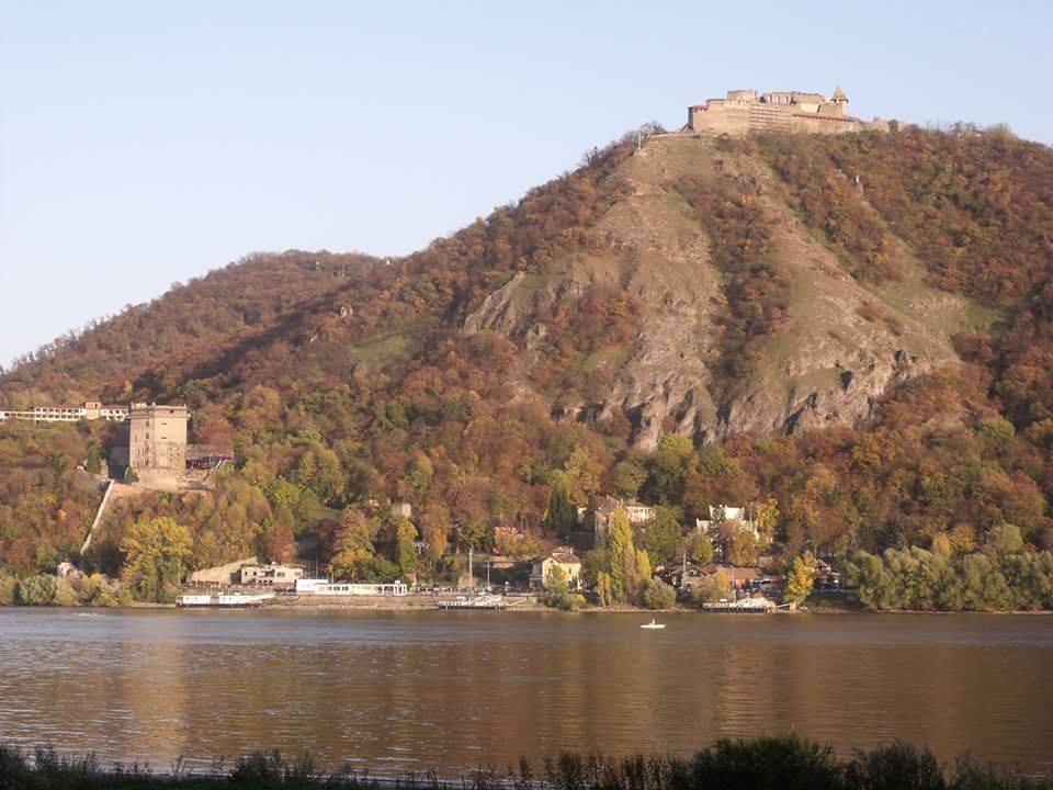 Bonifert Vendégház Dunabogdány Exterior foto